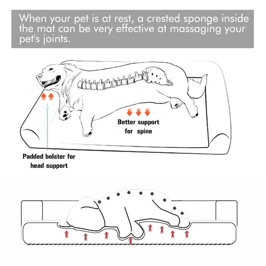 Extra Large Orthopedic Dog Bed