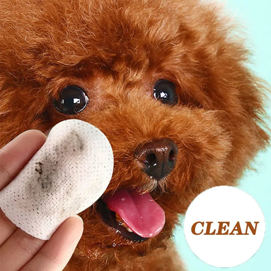 Cat and Dog Eye Wipes
