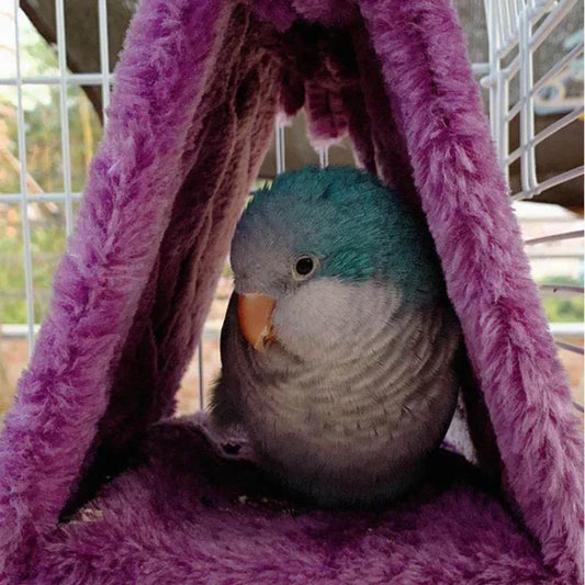 Parrot Hanging Bed