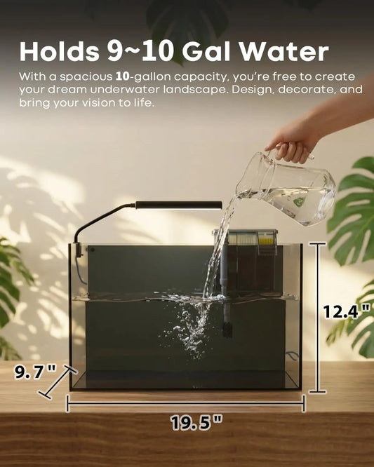 10 Gallon Glass Aquarium Kit with Accessories
