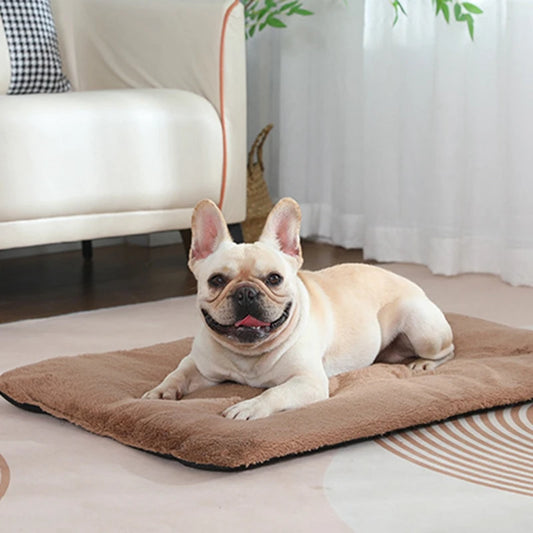 Small to Extra Large Heated Pet Beds