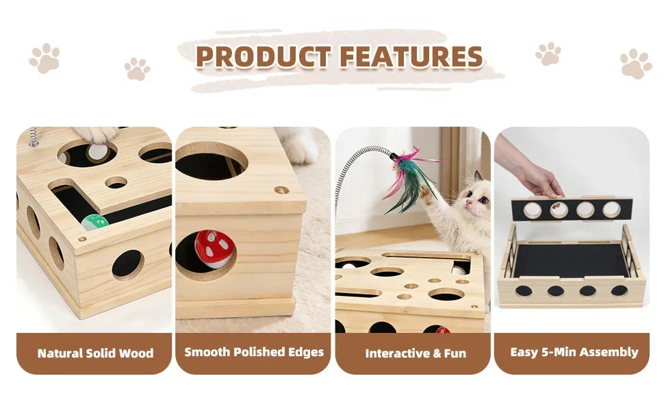 Cat Enrichment Box
