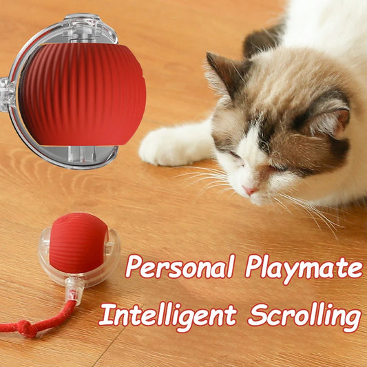 Electric Interactive Ball for Dog or Cat