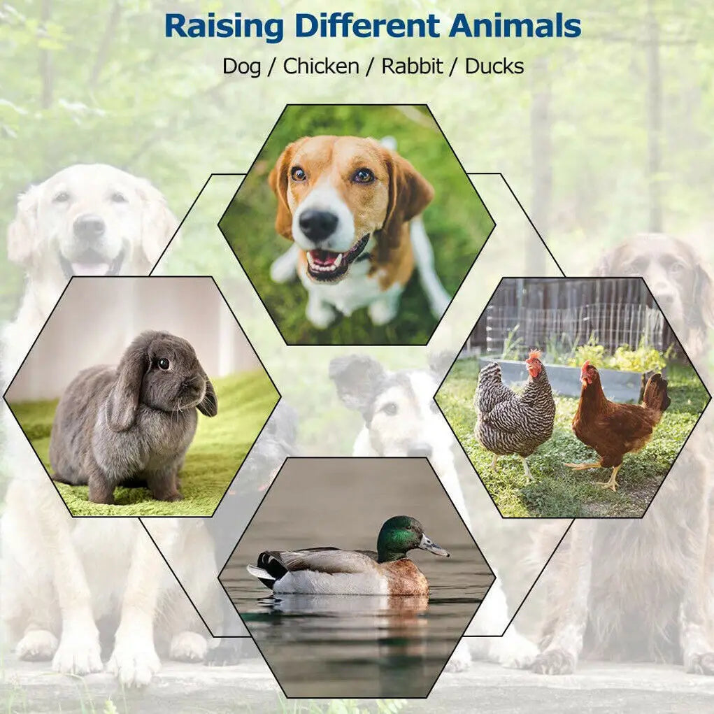 Outdoor Pet Run Enclosure With Roof Helps Protect Your Beloved Pet's Safety, Comfort, Happiness and Health. This safe enclosure comes in L, S, and XS sizes so you have a choice.