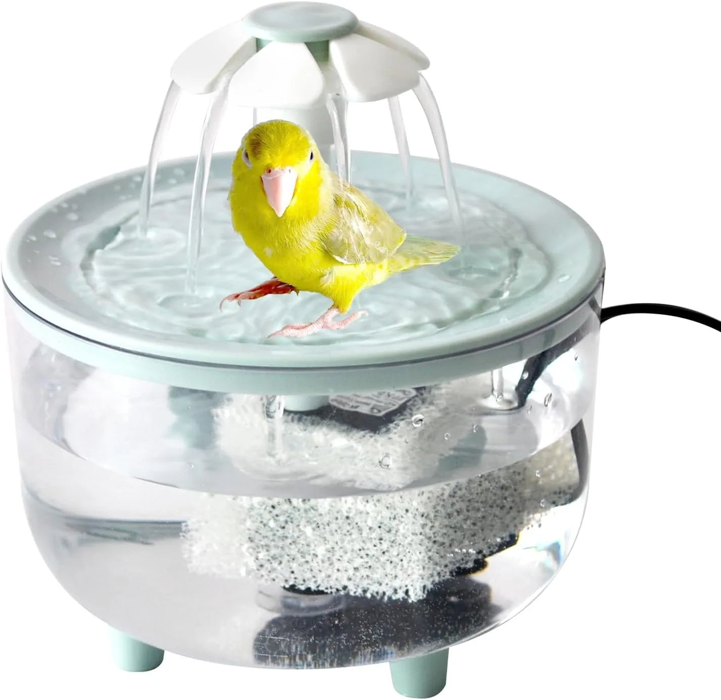 Indoor Bird Bath Fountain