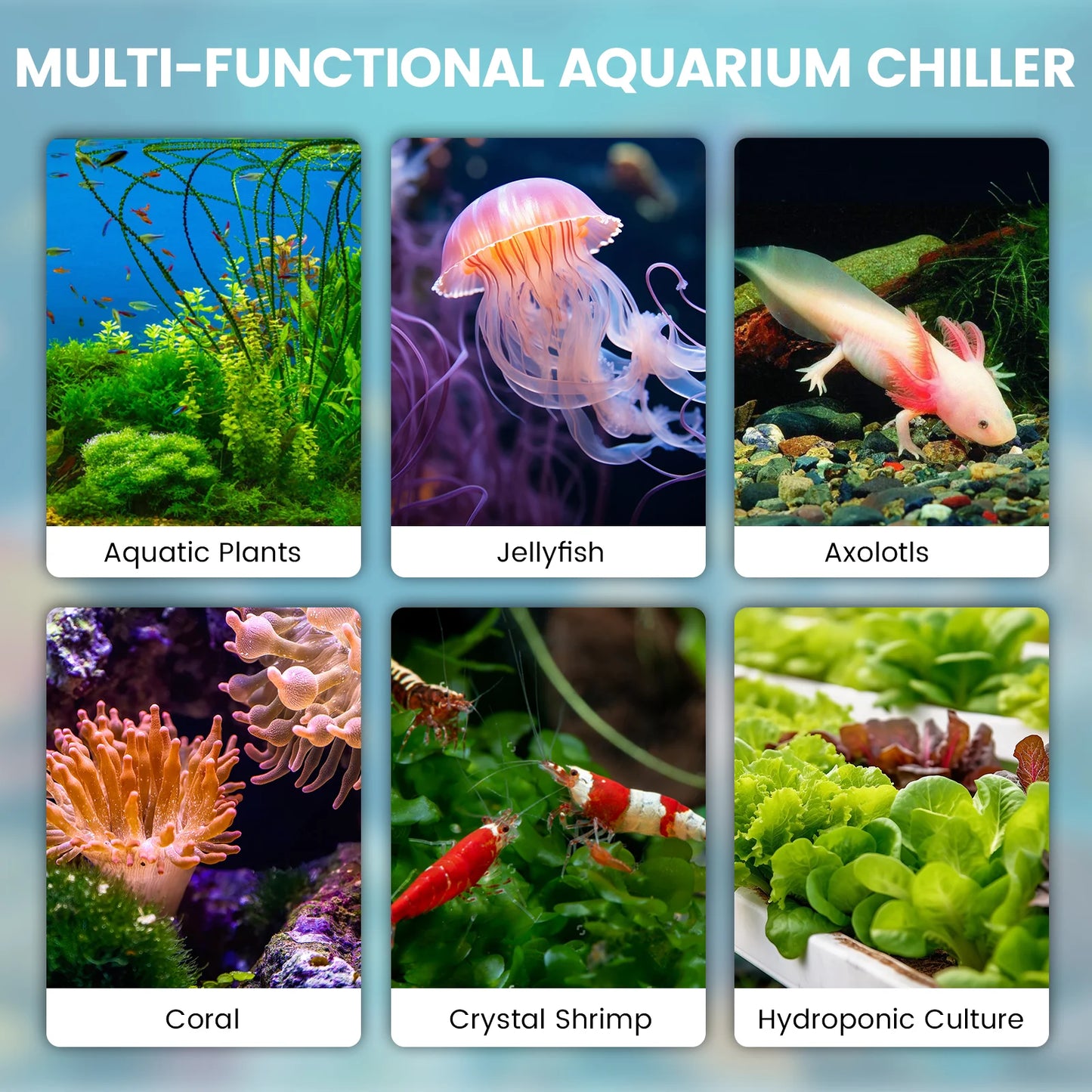 Hydroponics Fish Tank Temperature Control