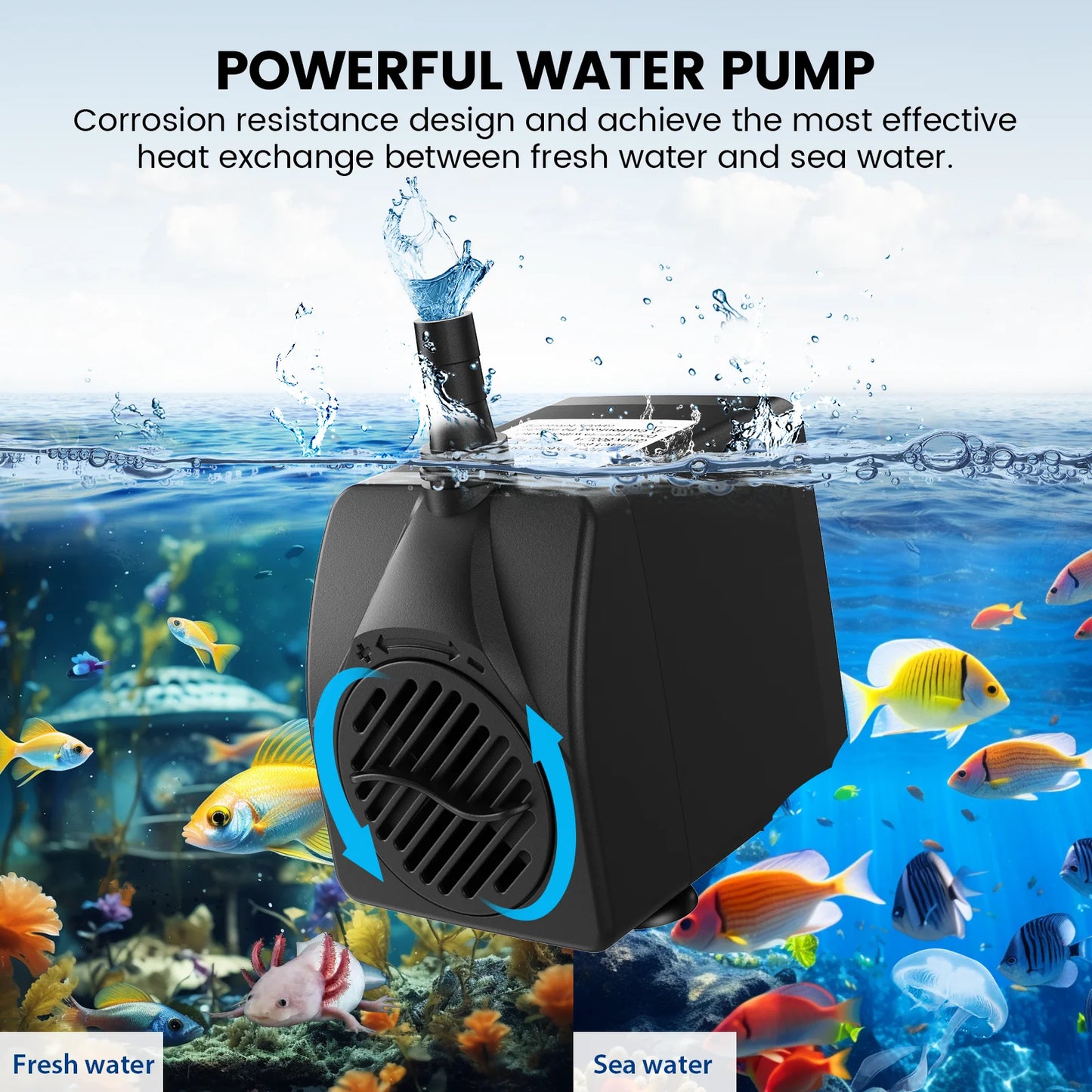 Hydroponics Fish Tank Temperature Control