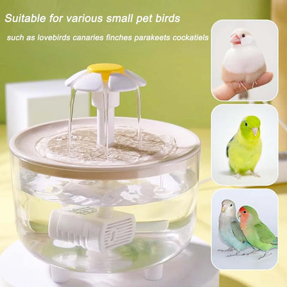 Indoor Bird Bath Fountain
