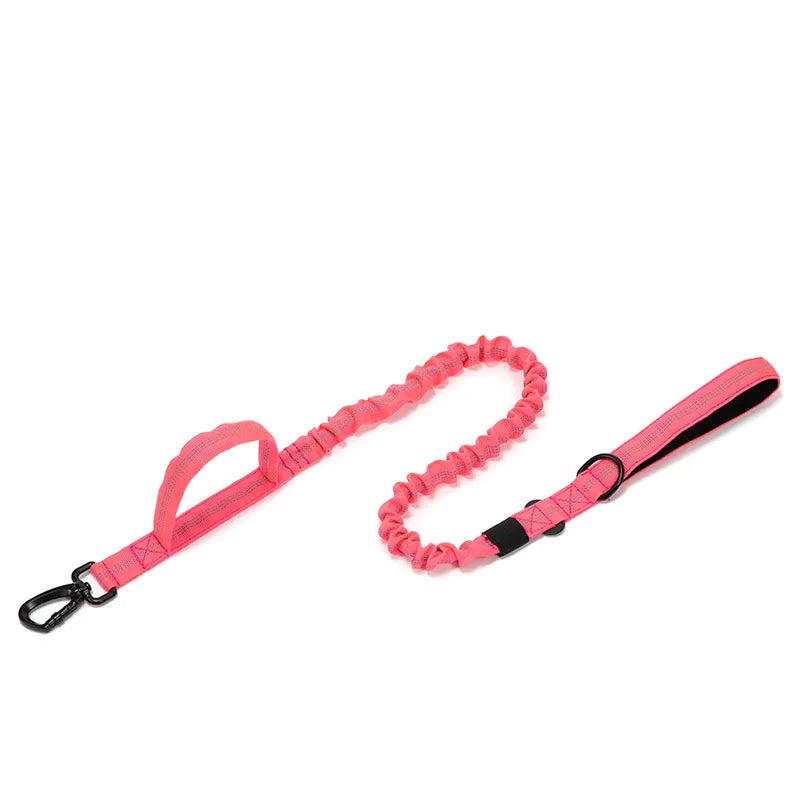 Pet Tactical Training Collar/Leash Set