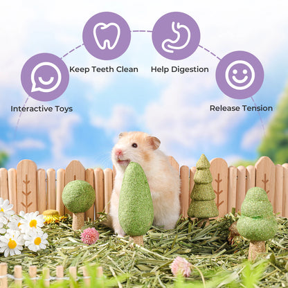 Small Pet Dental Health Toys