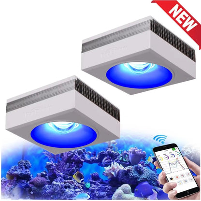 Have you ever heard  of a coral grow light?  You have now!  These will cause your saltwater aquarium to shine!