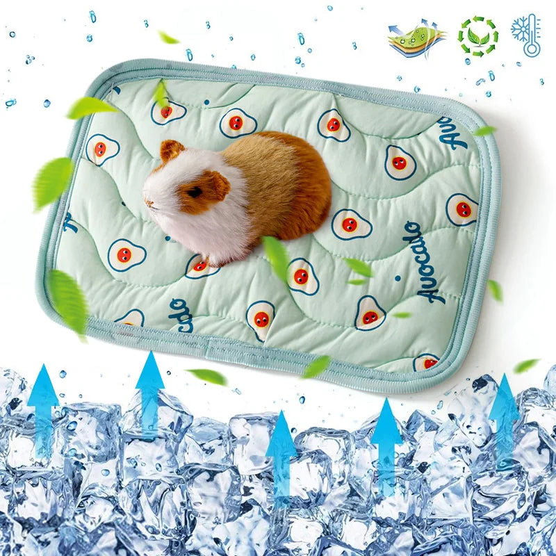 Small Pet Cooler Mat Summer