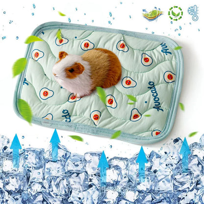 Small Pet Cooler Mat Summer
