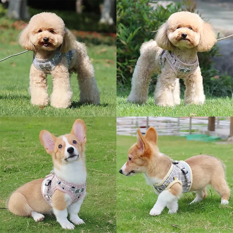 Harness Vest with Leash