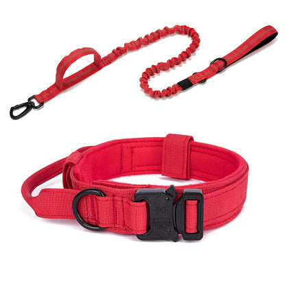 Pet Tactical Training Collar/Leash Set