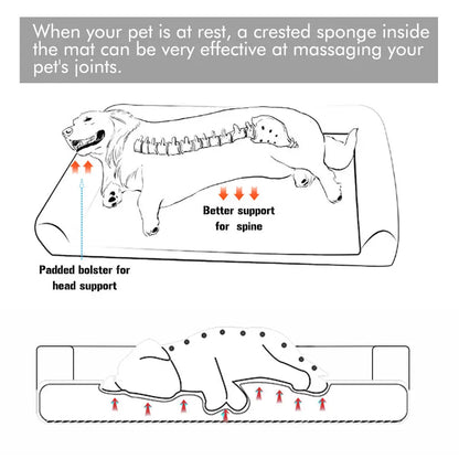 Extra Large Orthopedic Dog Bed