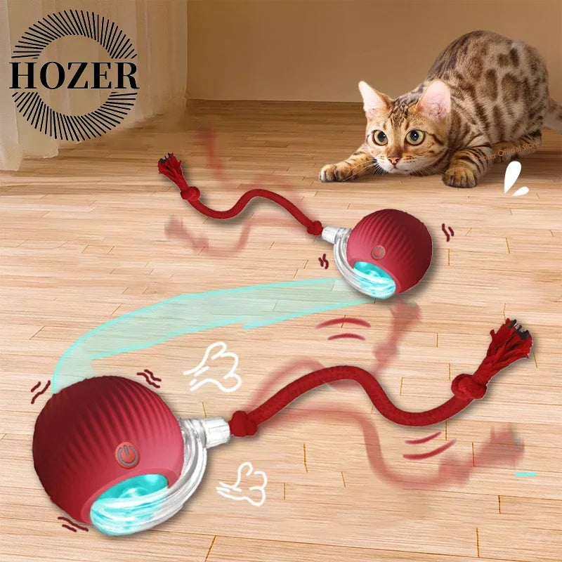 Electric 2 Pcs Cat Toy