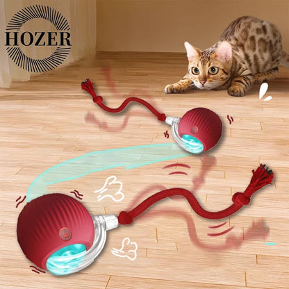 Electric 2 Pcs Cat Toy
