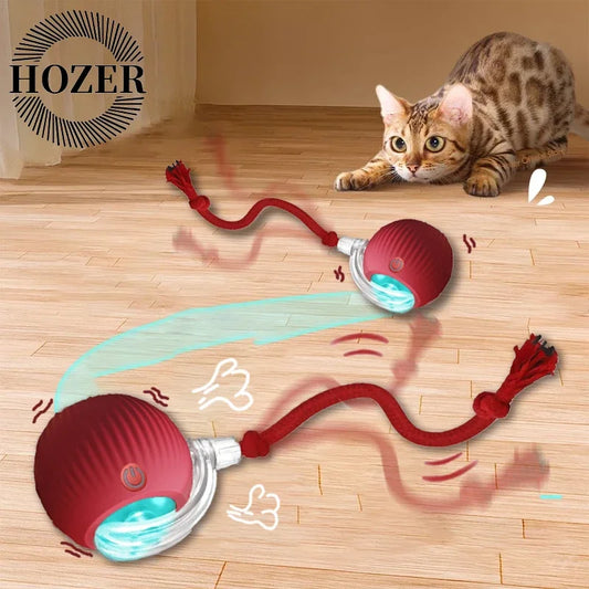 Electric 2 Pcs Cat Toy