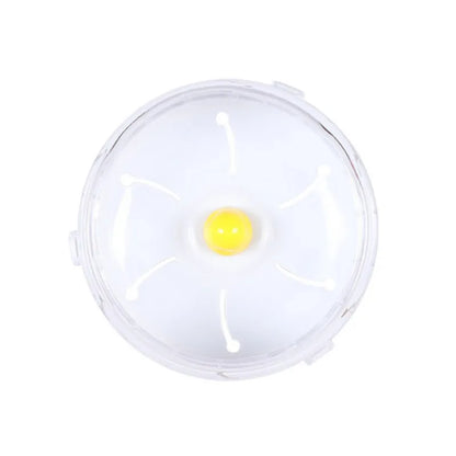 Roll-Around Exercise Wheel for Small Pets