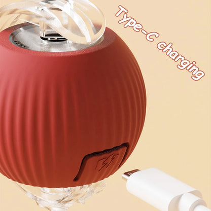 Electric 2 Pcs Cat Toy