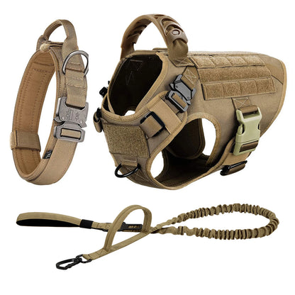 See what a difference a Malinois training and walking kit makes!  This is ideal for medium to large dogs and includes vest, harness, leash and collar plus accessories.  Because your buddy deserves it!