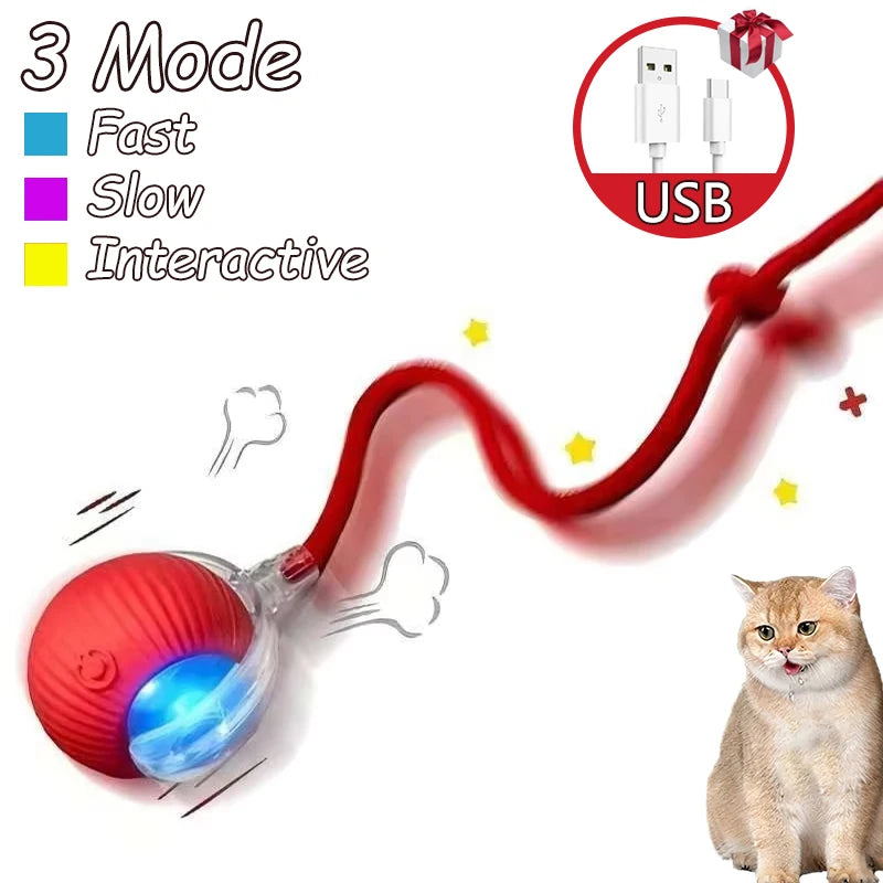 Interactive Automatic  Rolling Ball