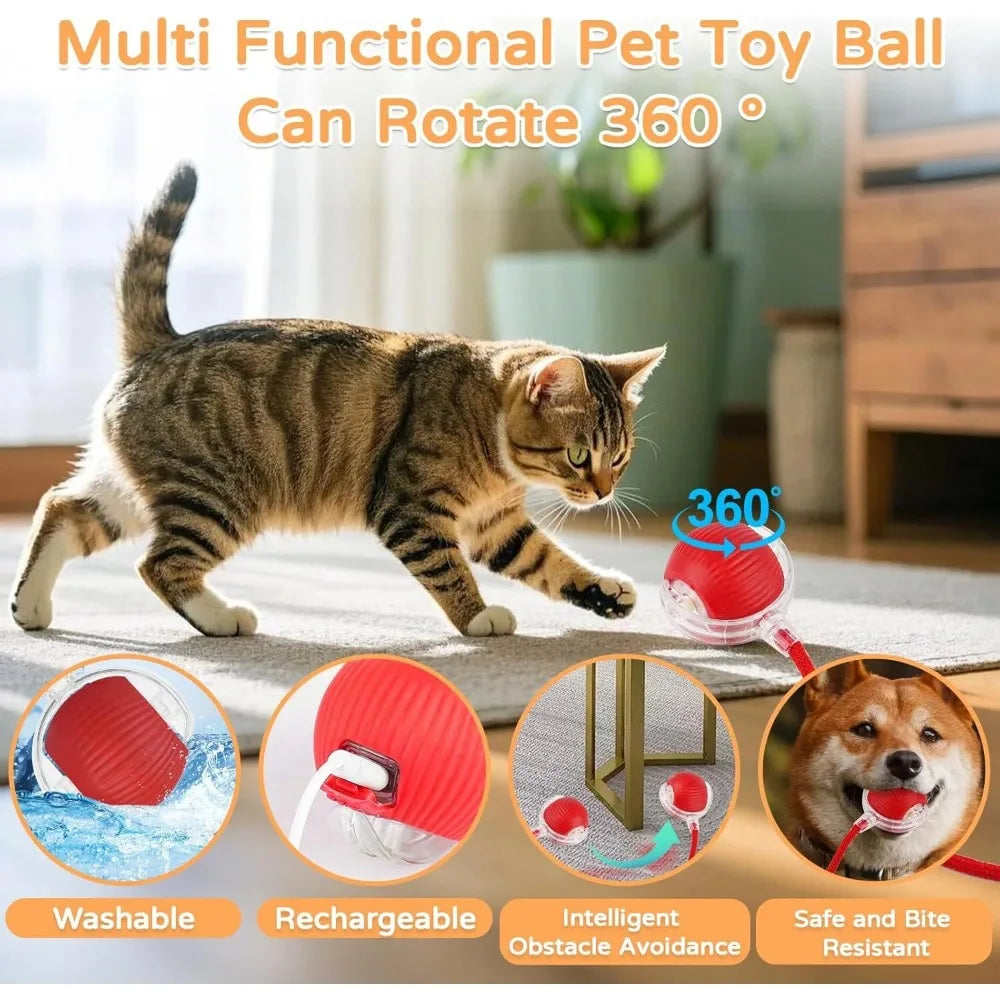 Automatic Rolling Ball