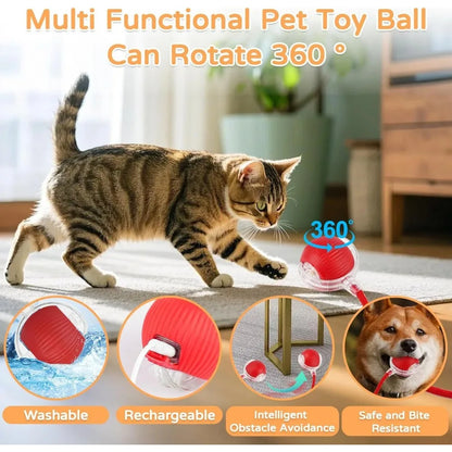 Automatic Rolling Ball