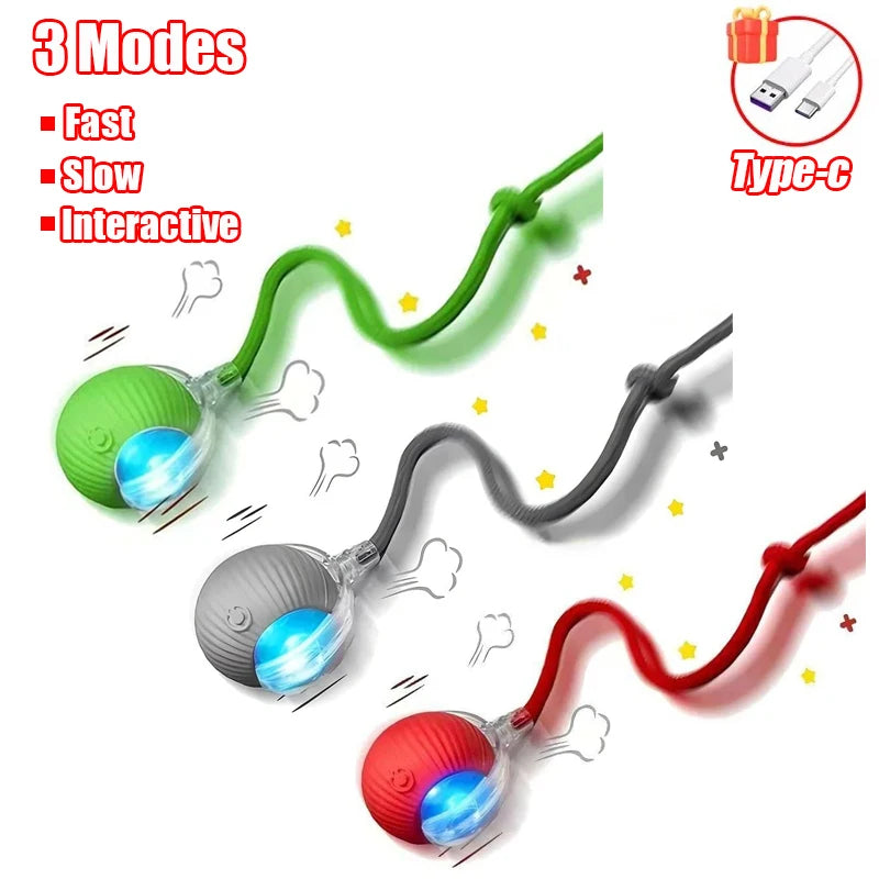 Electric Interactive Ball for Dog or Cat