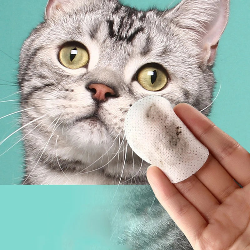Cat and Dog  Eye Wipes
