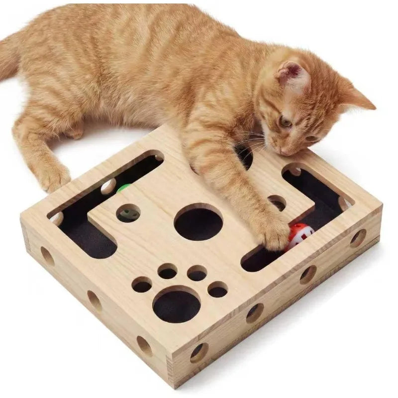 Cat Enrichment Box