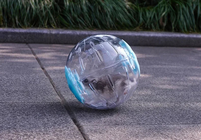 Clear plastic ball for small Pets