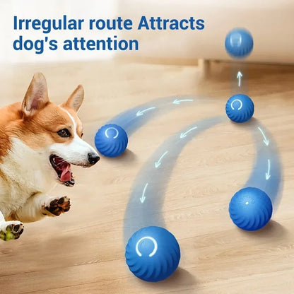 Dog Ball With Automatic Movements