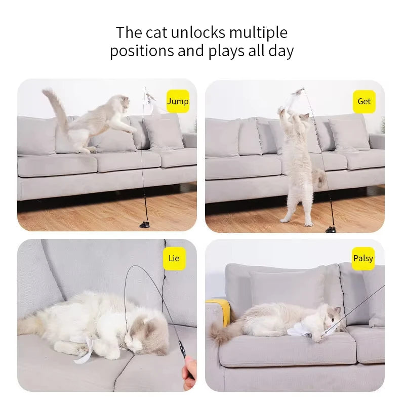 Watch the antics your cat exhibits with this feather toy!  Strong suction cup allows hands free play.