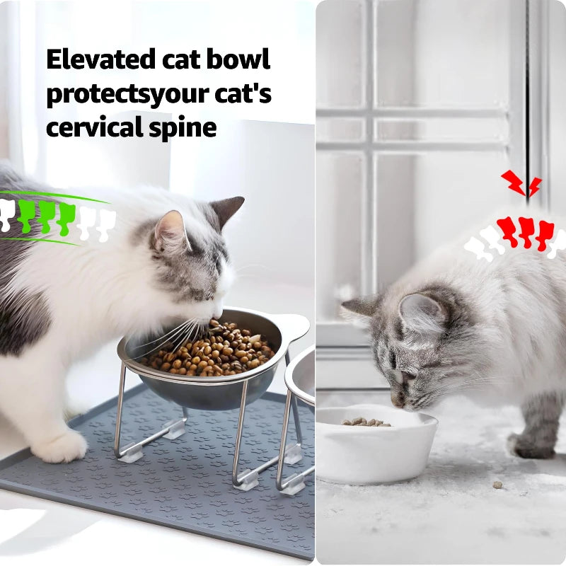 Stainless Steel Elevated/Tilted Pet Bowl