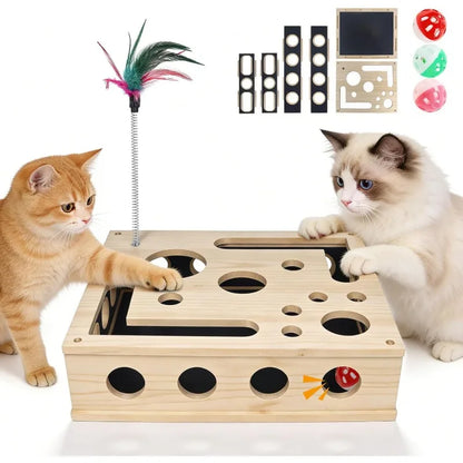 Cat Enrichment Box