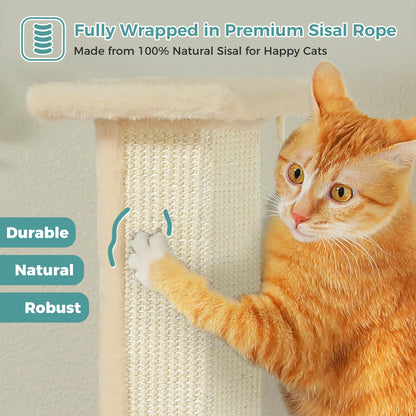 What cat doesn't enjoy a nice go at the Scratching Post?  And every person owned by a cat appreciates the Scratching Post saving the furniture!