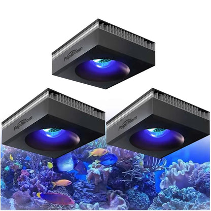 WiFi Reef Aquarium Lights