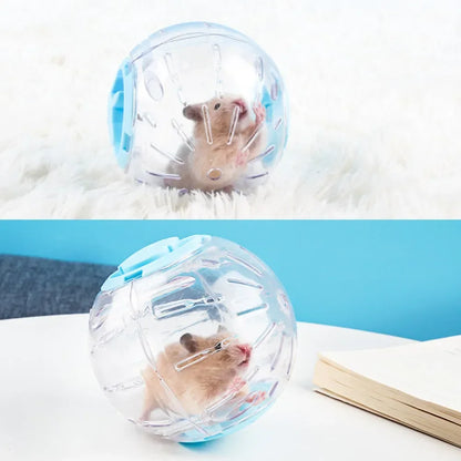 Clear plastic ball for small Pets