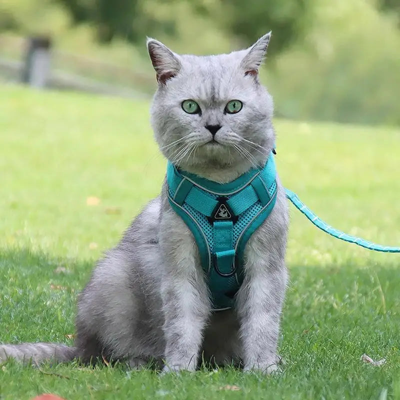 Pet Harness Vest and Leash Set