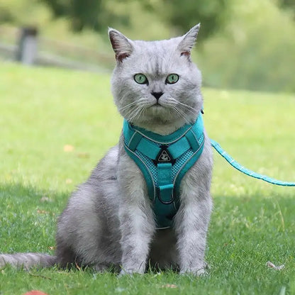 Pet Harness Vest and Leash Set