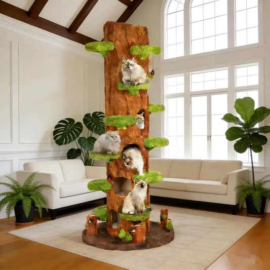 Indoor Cat Tree