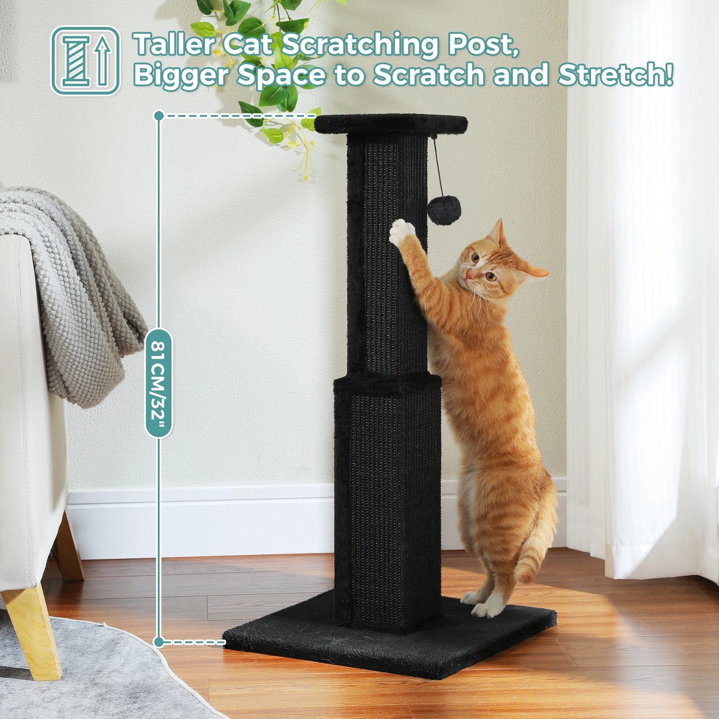 What cat doesn't enjoy a nice go at the Scratching Post?  And every person owned by a cat appreciates the Scratching Post saving the furniture!