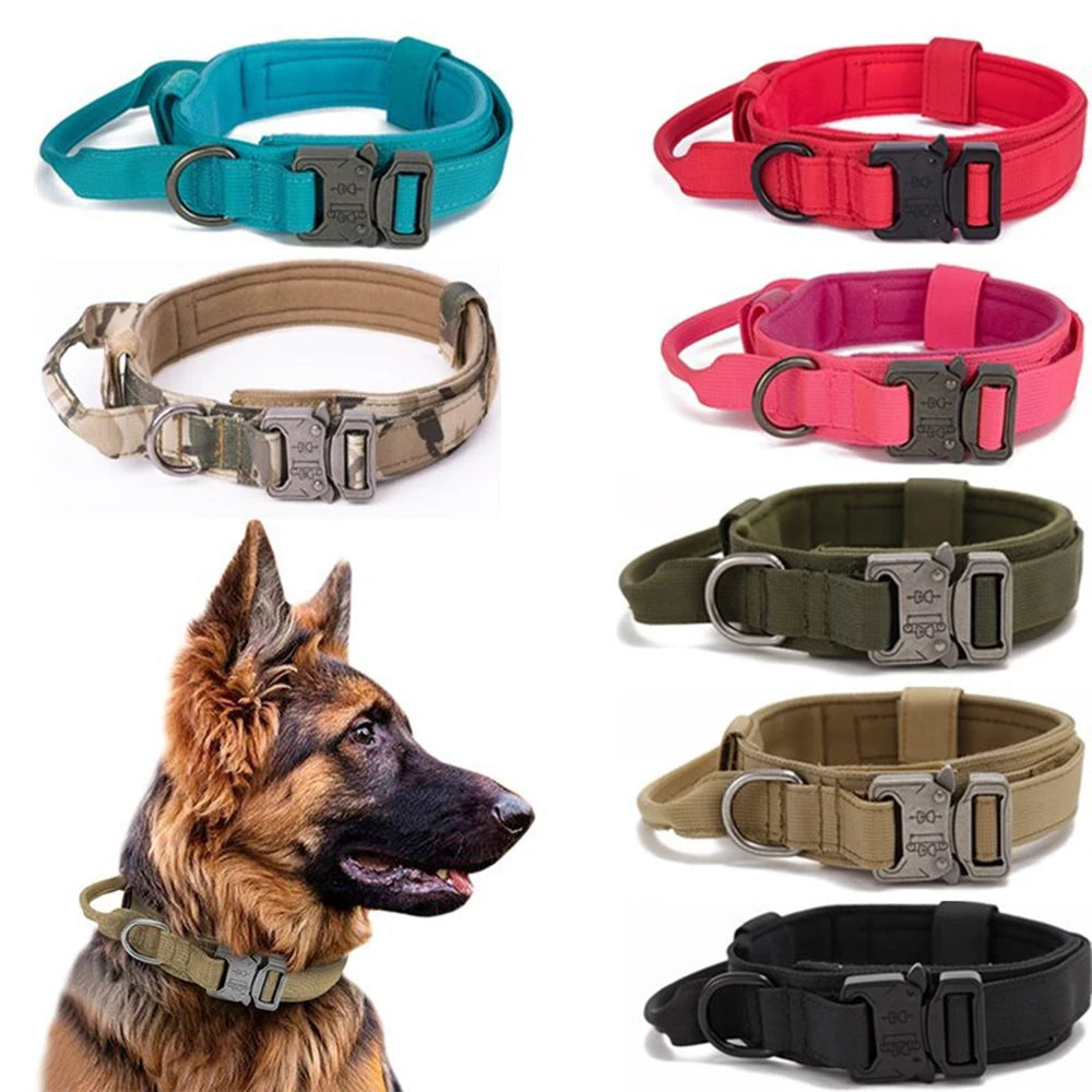 Pet Tactical Training Collar/Leash Set