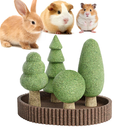 Small Pet Dental Health Toys