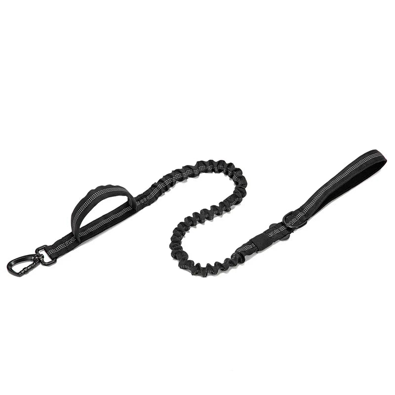 Pet Tactical Training Collar/Leash Set