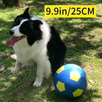 Animal Training/Herding/Playing Balls
