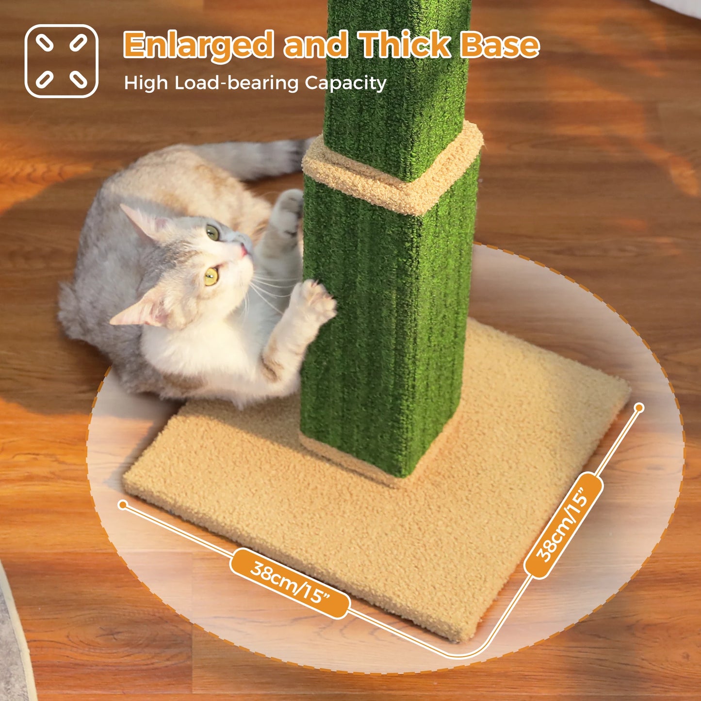 What cat doesn't enjoy a nice go at the Scratching Post?  And every person owned by a cat appreciates the Scratching Post saving the furniture!