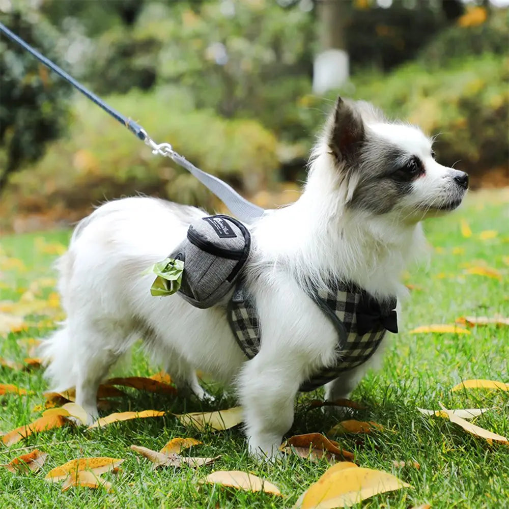 Multifunction Carrier Harness for Small  Dogs